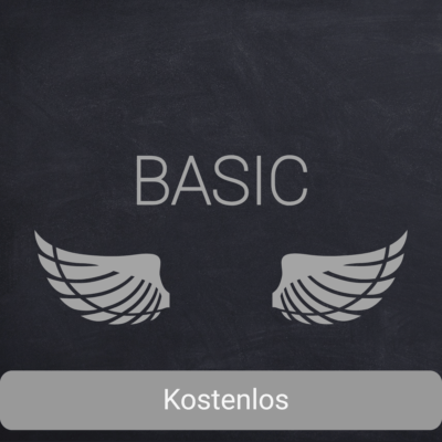 handmadehub.ch Auf schwarzem Tafelhintergrund steht über zwei aufwendig handgefertigten Flügelgrafiken der Text „BASIC“. Darunter ist ein grauer Balken mit dem Wort „Kostenlos“ zu sehen, der auf die kostenlose Basisversion hinweist. .handmade